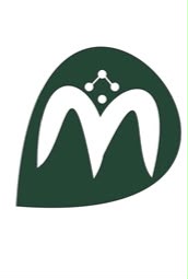 Moonlight Bank Logo